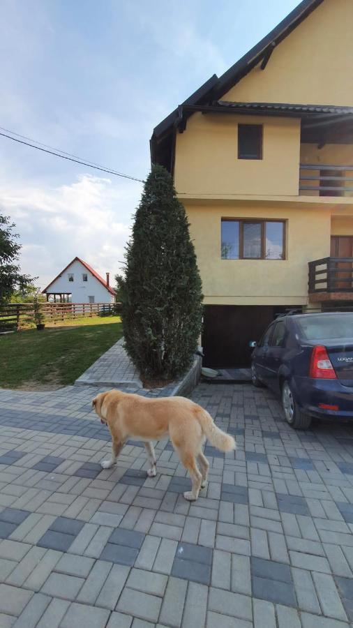 Popasul Galesean Hotel Galesu Luaran gambar